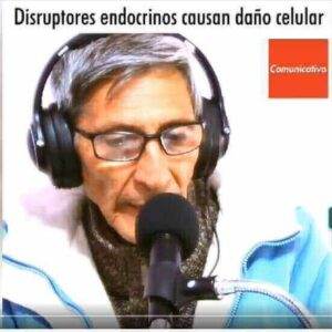 disruptores endocrinos en los alimentos